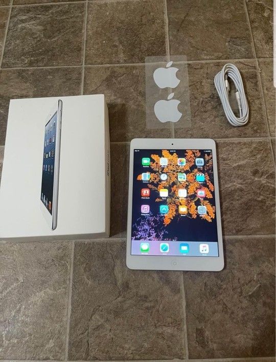 iPad Mini