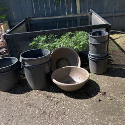 Veggie Growing Pots