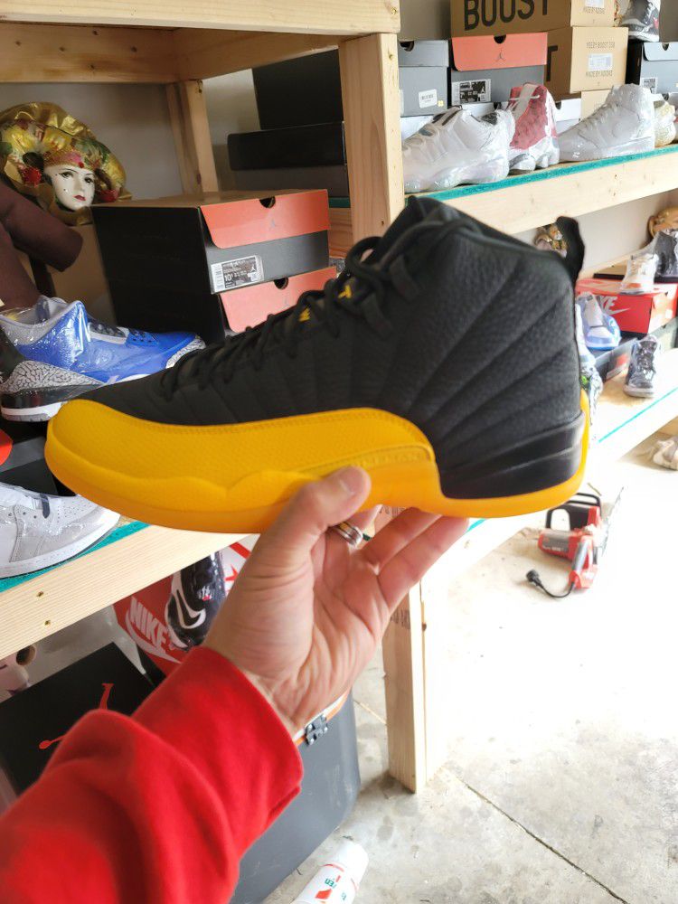 Retro 12 University Gold  Black And Yellow Stright Fire Deadstock Size 9.5