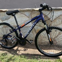 Kids Schwinn Ranger Mountain Bike