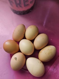 Huevos de gallina