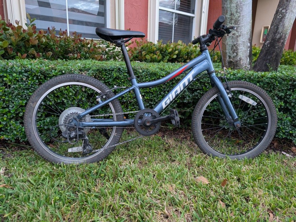 Giant XTC Kids Mountain Bike