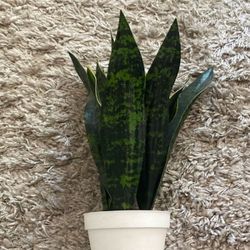 Small Faux Plant