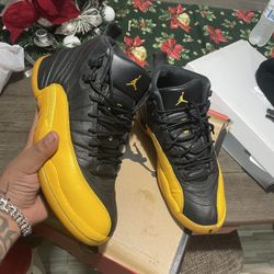 Jordan 12s 
