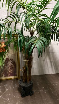 6ft palm tree