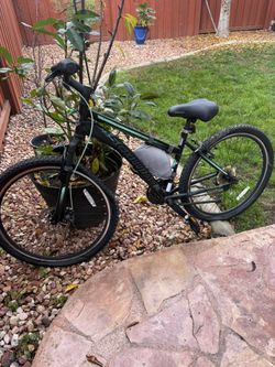 Schwinn Bike For Woman