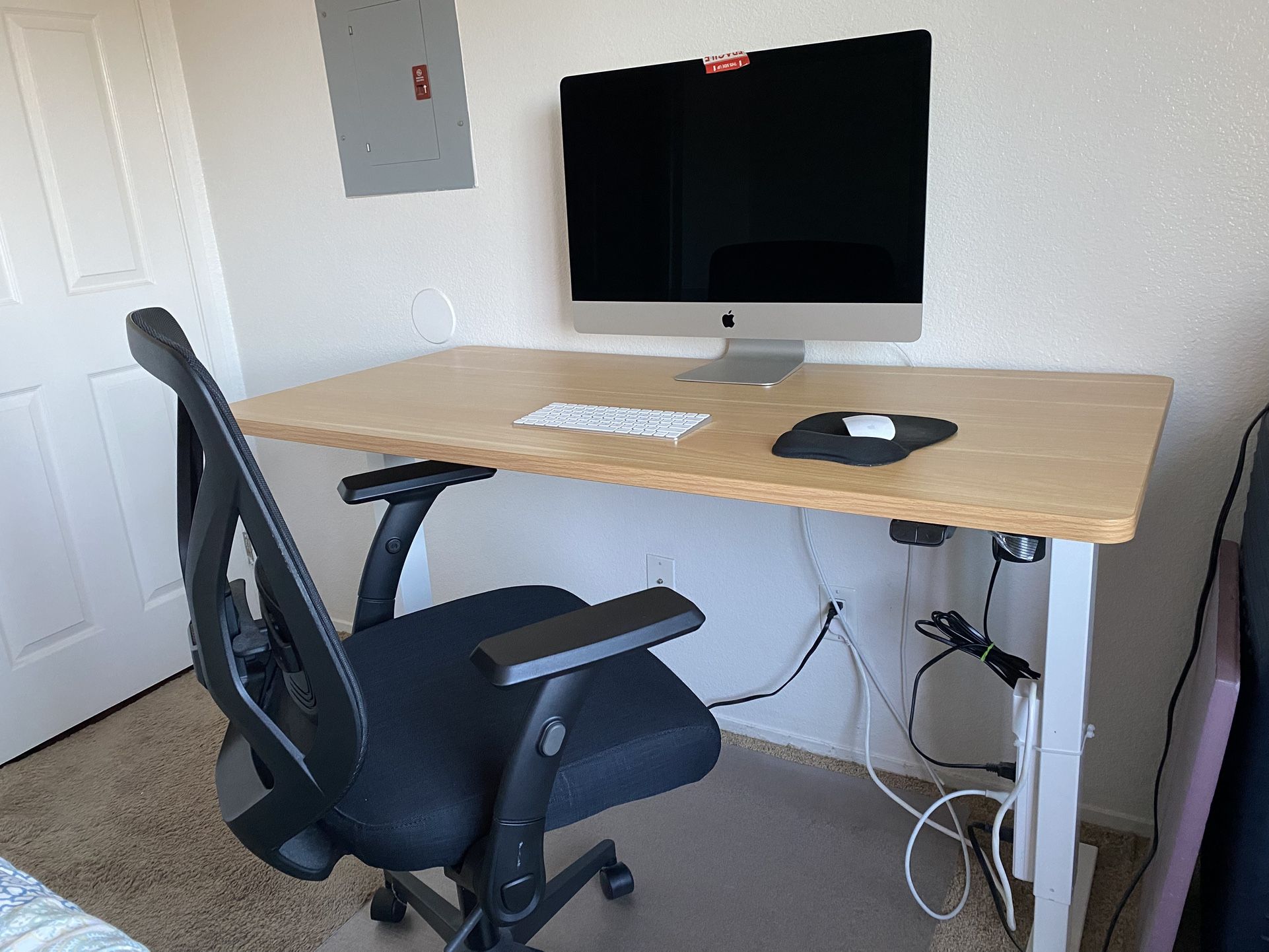 FLEXISPOT adjustable Electric Desk 55 X 28 X 48