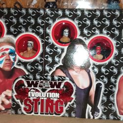 WWF/WCW Sting 