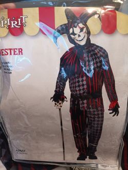 Jester mens costume
