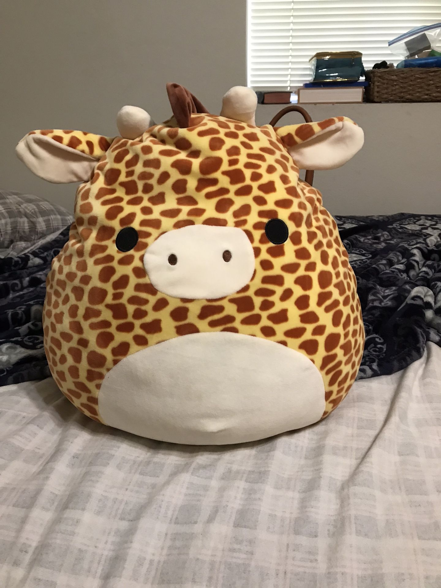 Stuffed Animals
