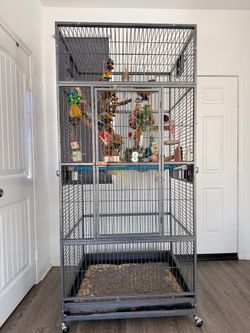 Large Sturdy Bird Cage