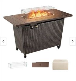 ❤️‍🔥 #b. 50000 Maximum BTUs Stainless steel Rectangle Liquid propane Fire table.