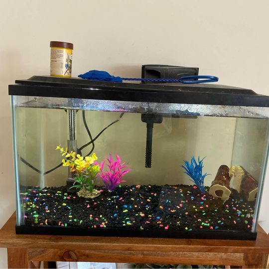Fish Tank