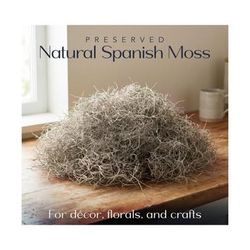 2 Bags of Spanish Moss