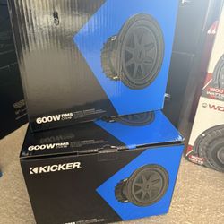 10” Subwoofer 