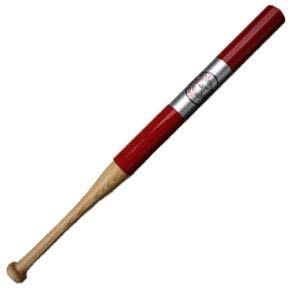 The Bratt Bat Training Bat