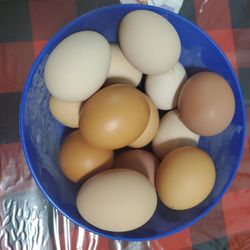 Organicos  A 7 la dosena 