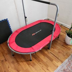 Trampoline Kids