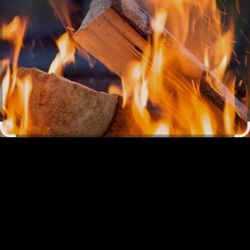Firewood 