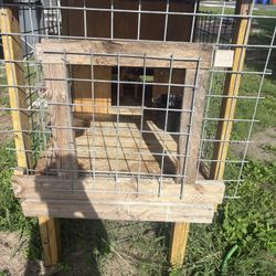 Cage