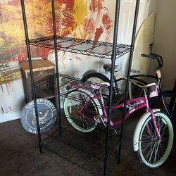 Lg. Metal storage shelves good condition 30 bucks cash