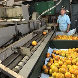 Citrus Processor