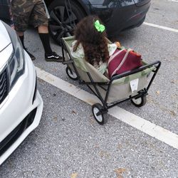 Used Heavy Duty Wagon 