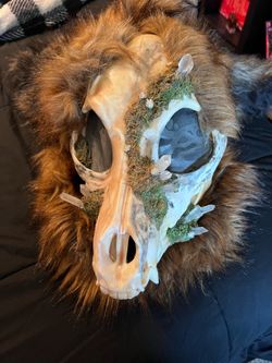 Fursuit Head