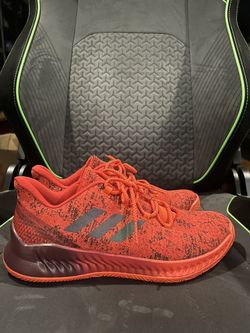 James Harden Basketball Shoe Size 11-12