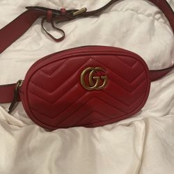 Maltese Gucci Belt Bag