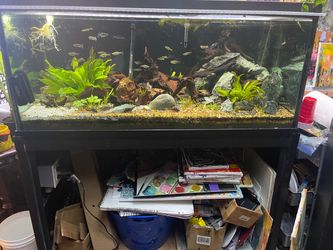 90g. commercial tank with stand.