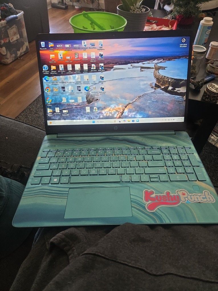 Hp Laptop Works Great