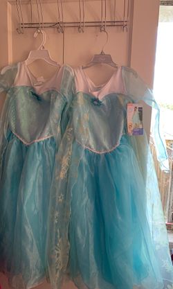 Frozen Dresses/Costumes 