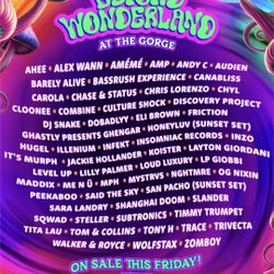 Beyond Wonderland At The Gorge