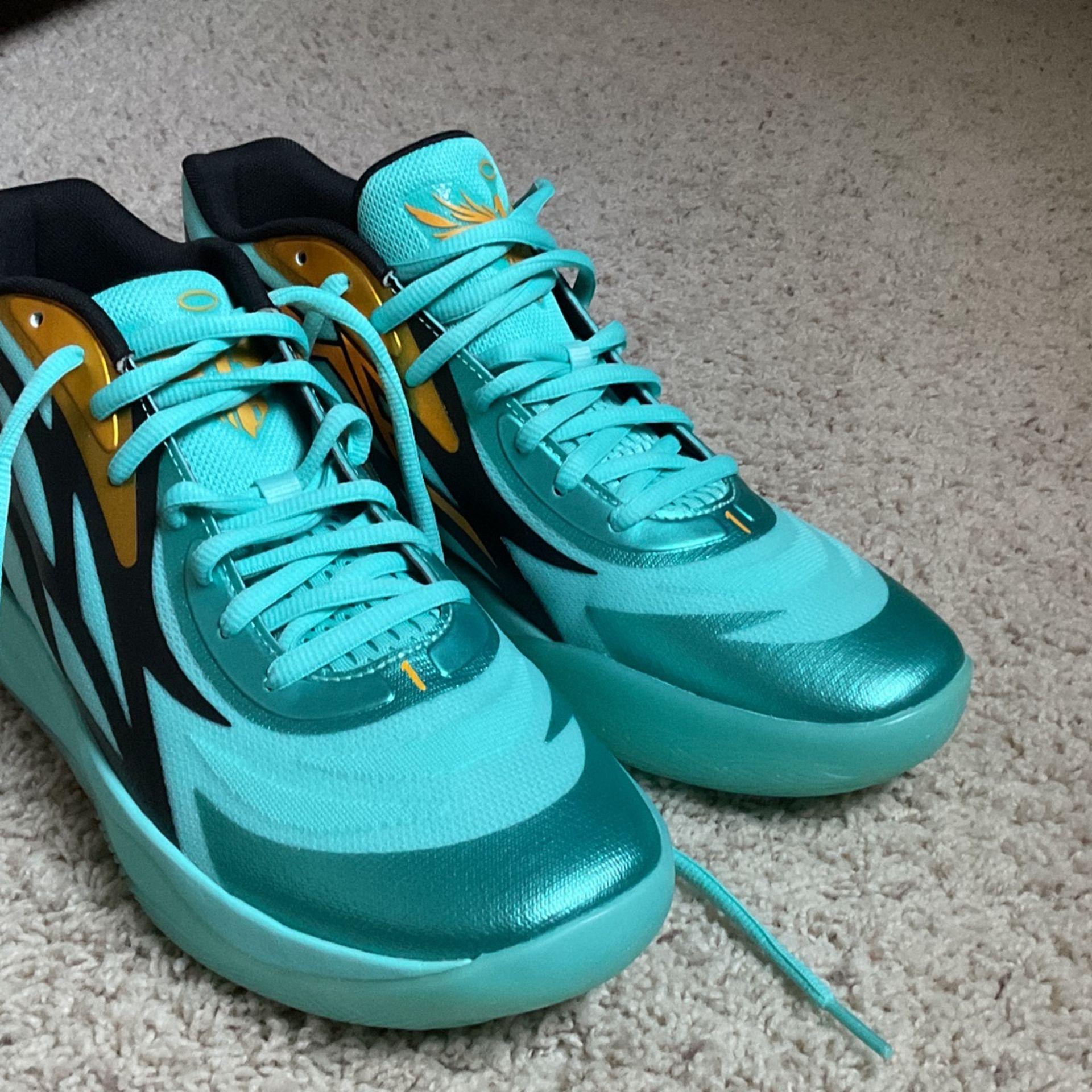 9b9cce3a9ed1458e93a88003edc4fe