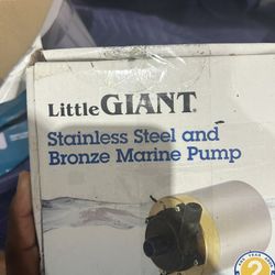 Little Giant MARAINE  Pump