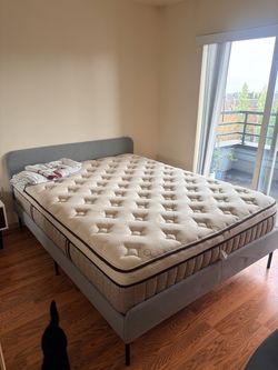 IKEA Queen Bed Frame *Free*