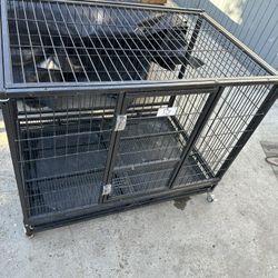 Dog Kennel 