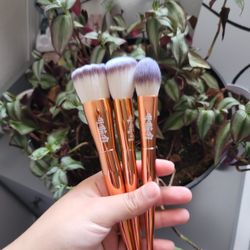 Alamar Brush Set 