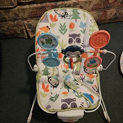 Fisher Price Baby Bouncer 