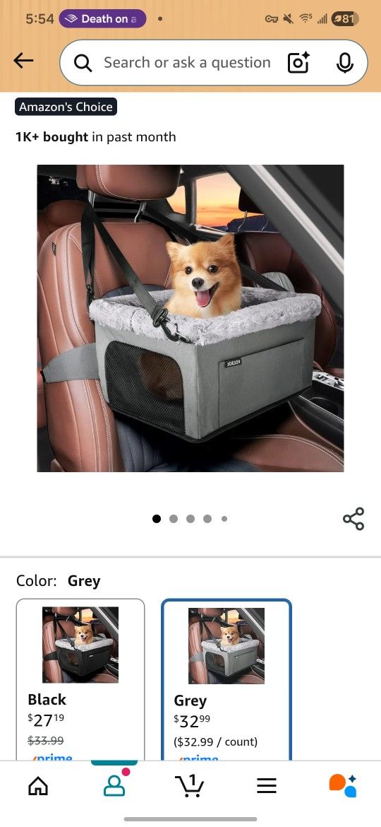 Pet Car Seat
