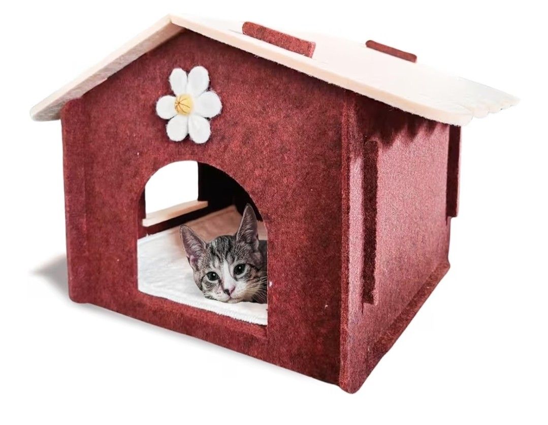 Lukamoo Cat House 