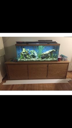 75 gallon fish tank read bio