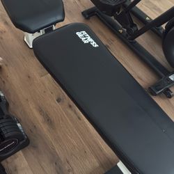 Weight Bench