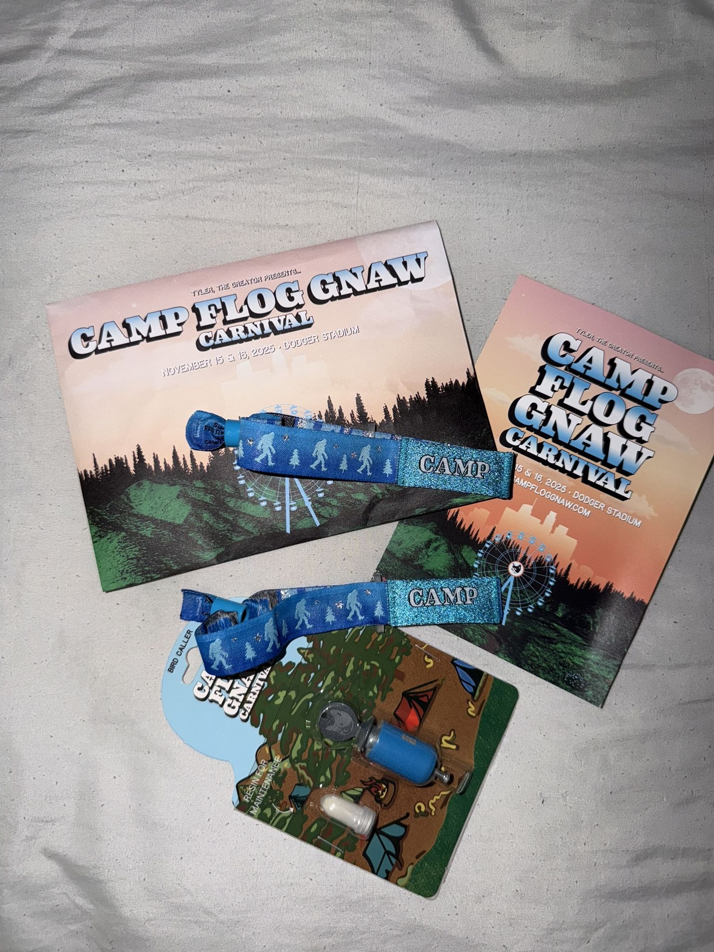 Camp Flog Gnaw 2025 GA