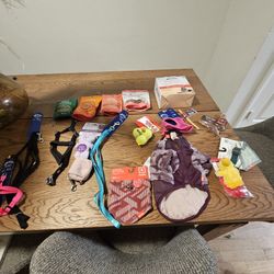 Brand New Dog Stuff