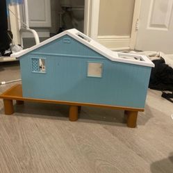 Bluey Cabin 