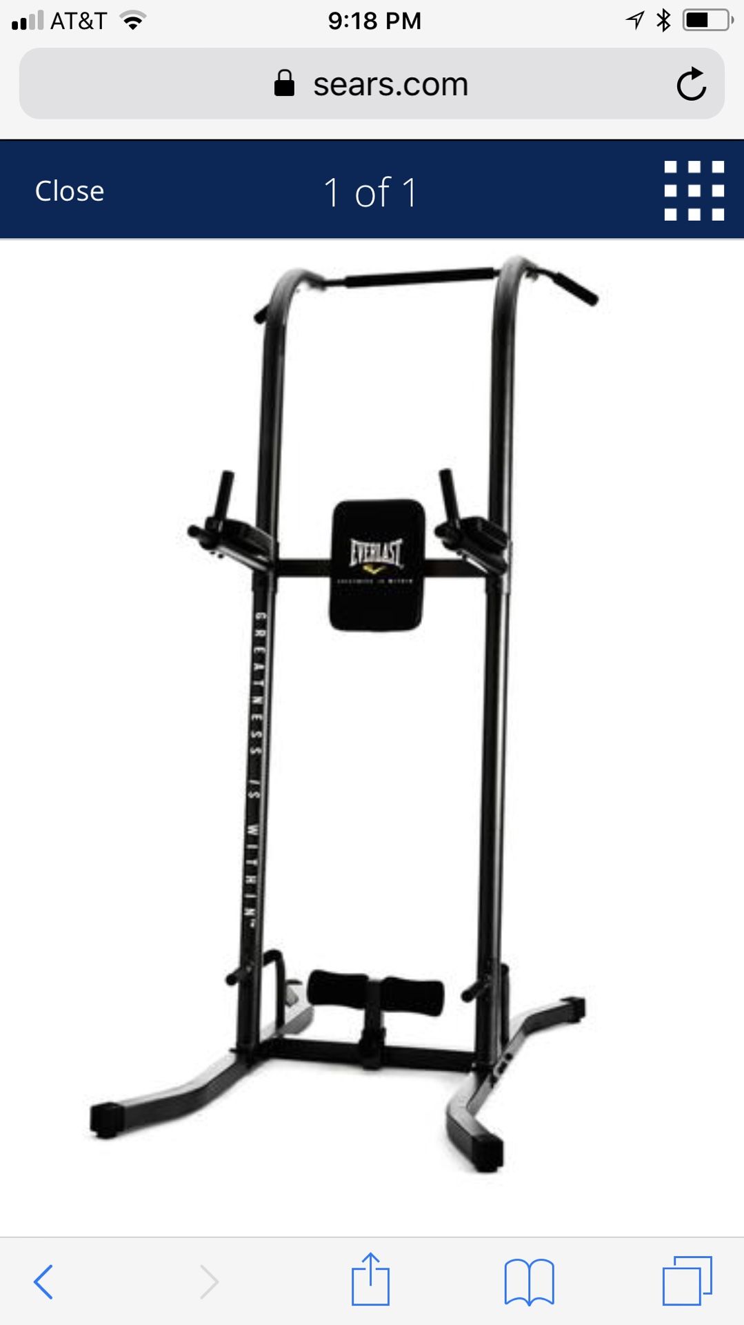 Everlast vertical knee raises, pull ups, dips, crunches and push-ups from this workout station