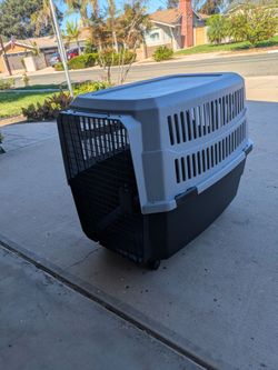 Large Plastic dog kennel