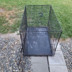 Petco Medium Dog Crate 